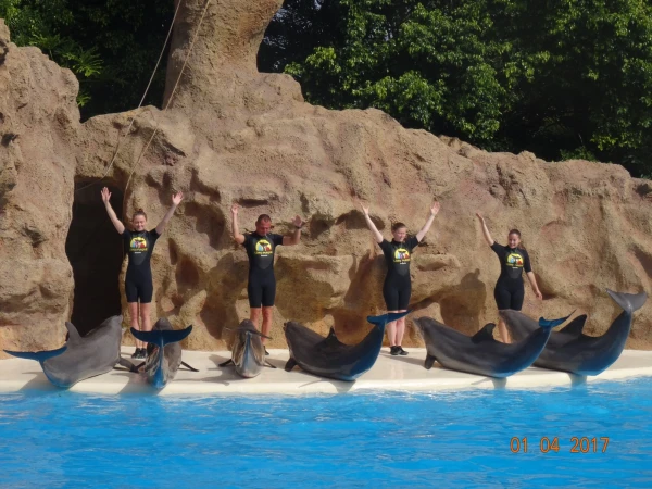 Dolfins
