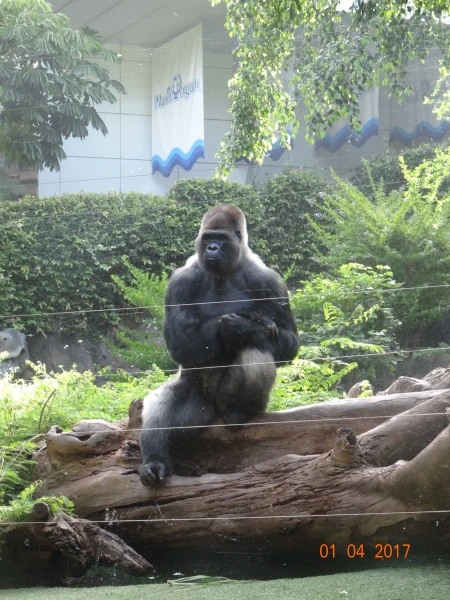 Loro Parque