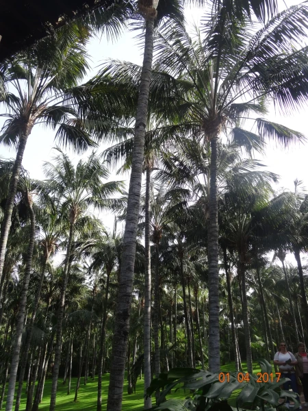 Loro Parque