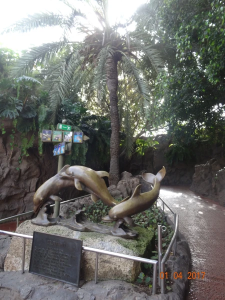 Loro Parque, шоу Dolfins
