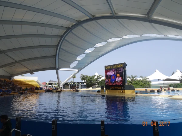 Loro Parque, шоу Orca Ocean