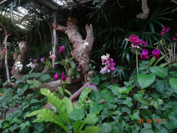 Loro Parque