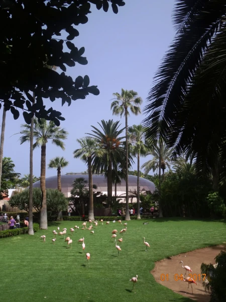 Loro Parque