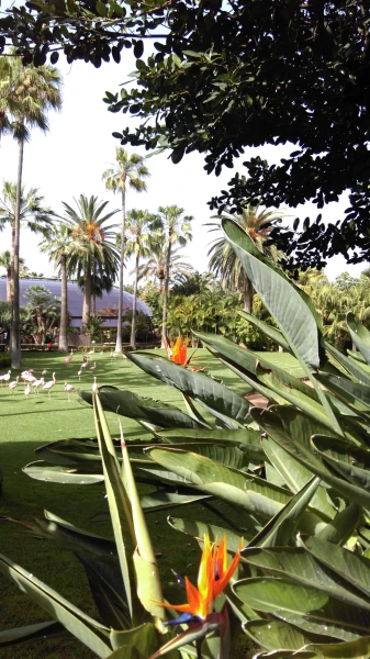 Loro Parque