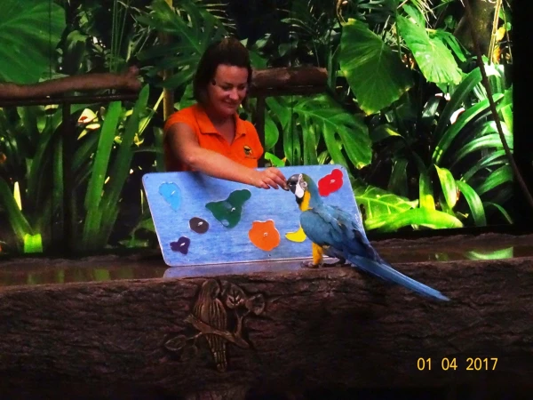 Loro Show