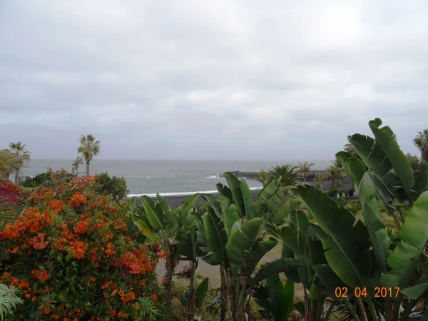 Playa Jardin