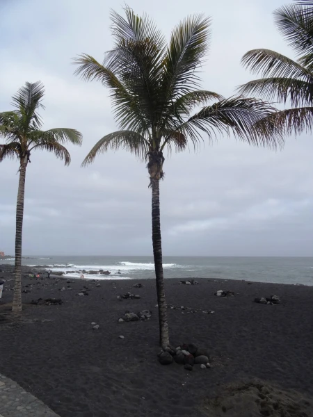Playa Jardin