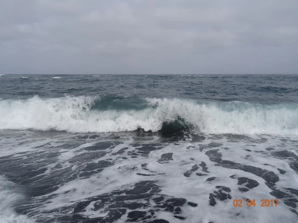 Playa Jardin