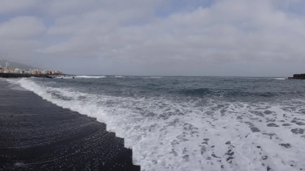 Playa Jardin