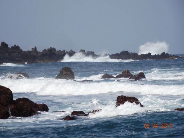 Playa Jardin
