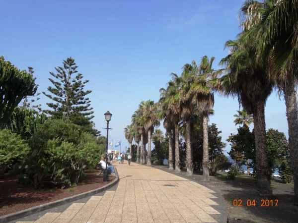 Playa Jardin