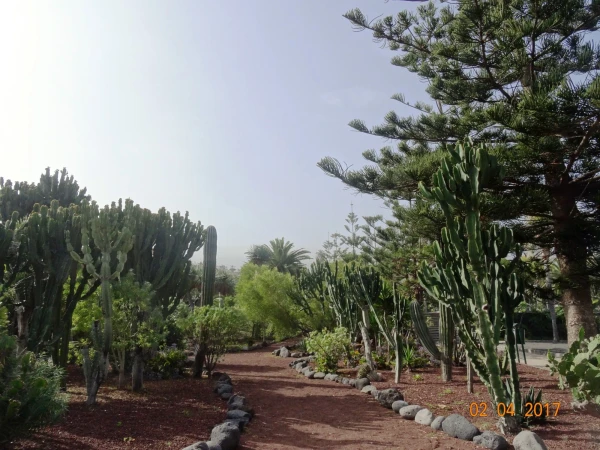Playa Jardin