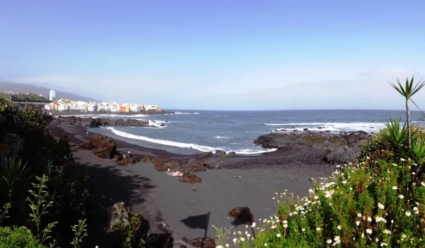 Playa Jardin