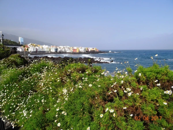 Playa Jardin
