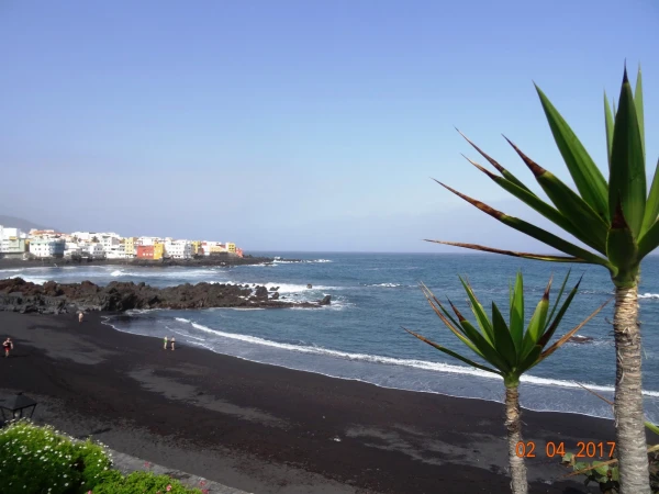 Playa Jardin