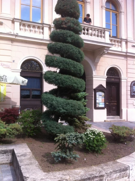 В Кестхее на улице гуляли.