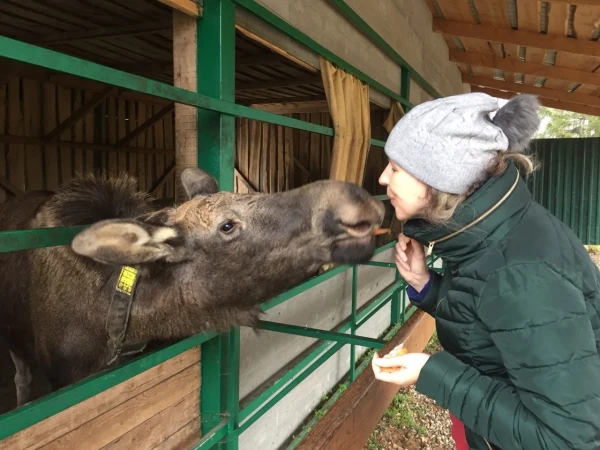 Целовалки с лосяшей