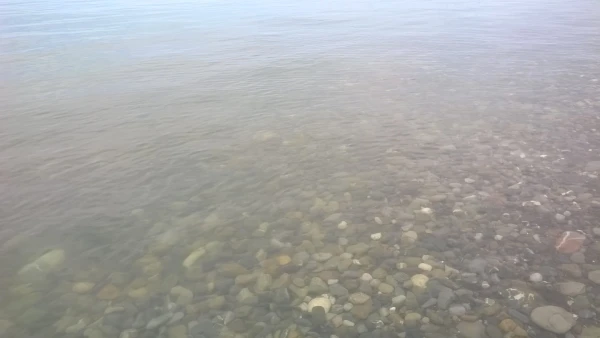 Холодное море весны 2017 года