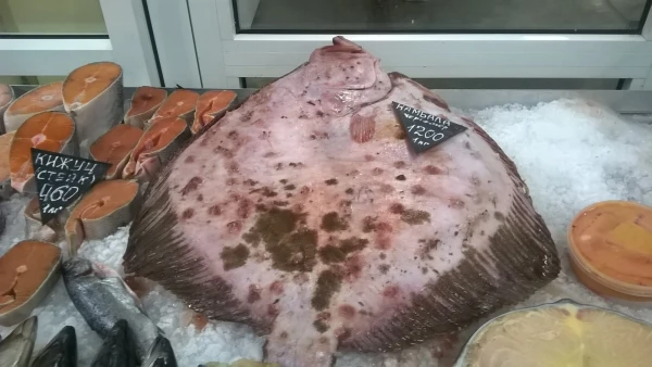 Рынок Сочи