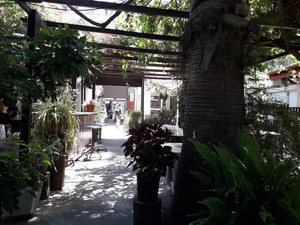 кафе в Ларнаке