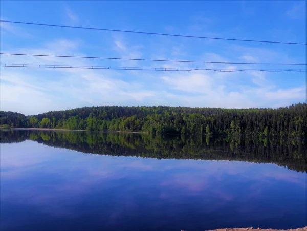 Лесное озеро