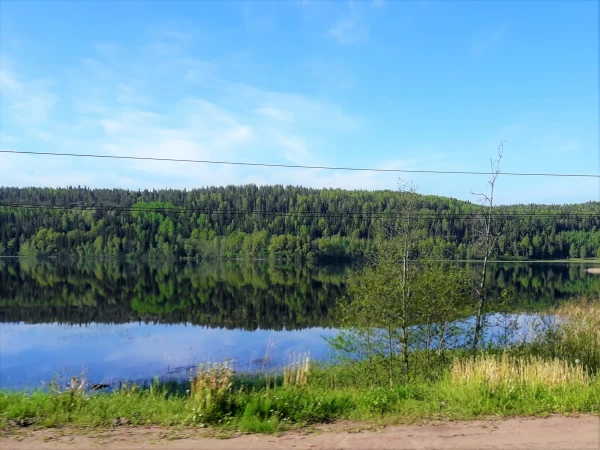 Лесное озеро