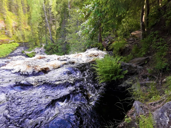 бурная река Кулисмайоки