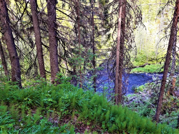Внизу - речка и водопад 