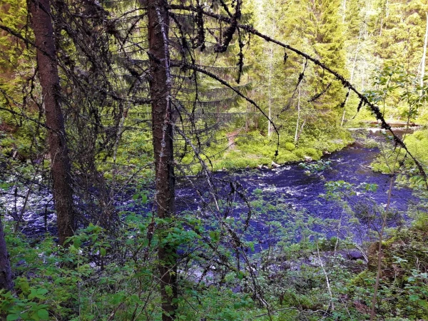 Внизу - речка и водопад 