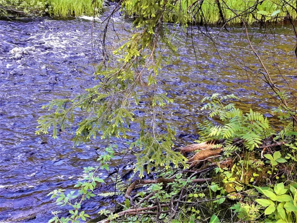 река Кулисмайоки