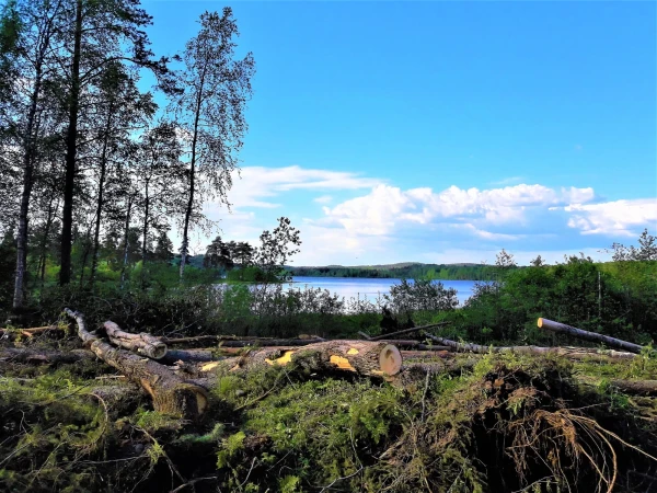 Озеро Руокоярви