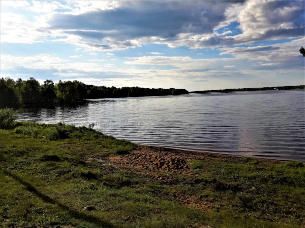 Белая ночь