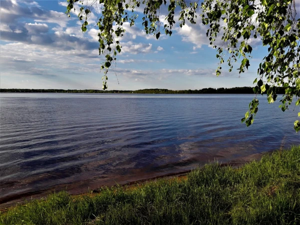 Нежная палитра белых ночей