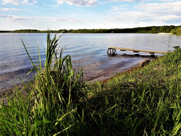 Нежная палитра белых ночей