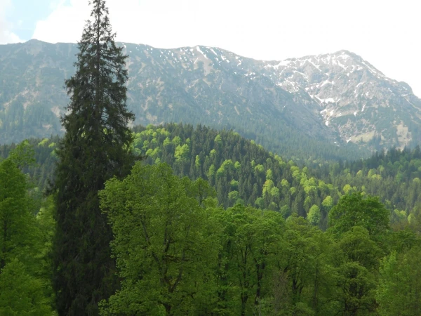 В парке замка Линдерхоф