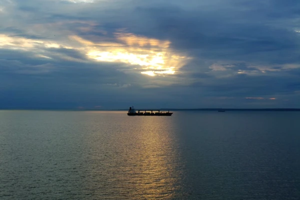 Вышли из Питера в открытое море