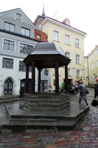 Старый колодец в Твллине