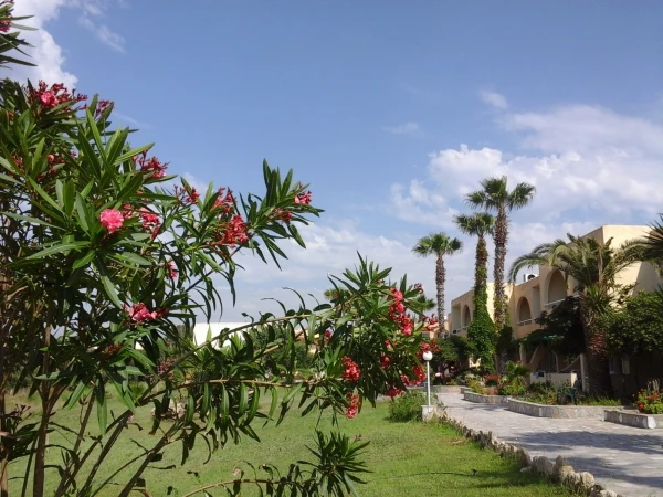 Eurovillage Achilleas Hotel: территория отеля...