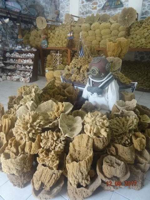 Главные продукты...