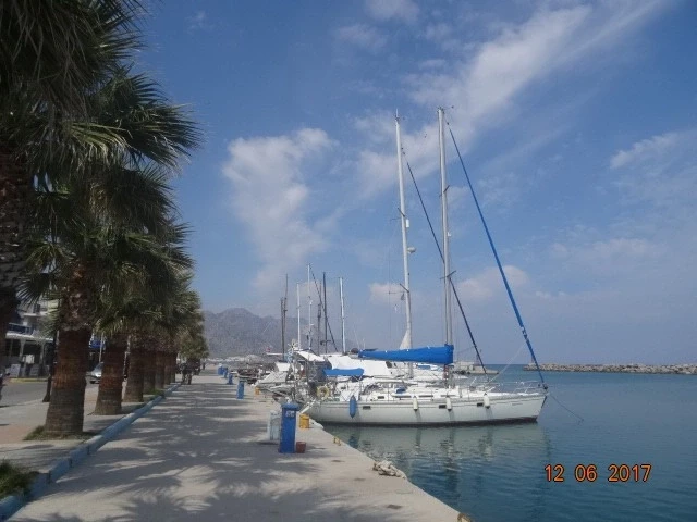 Кардамена