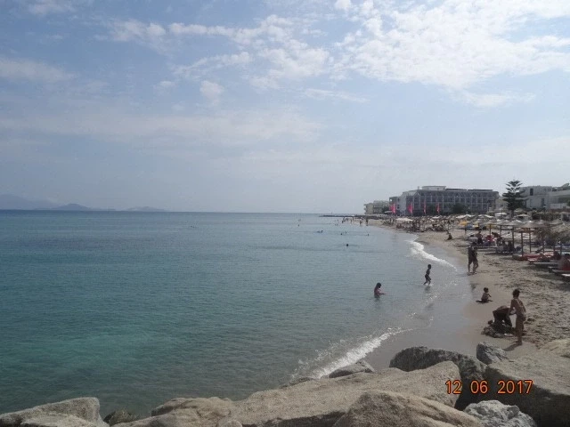 Кардамена