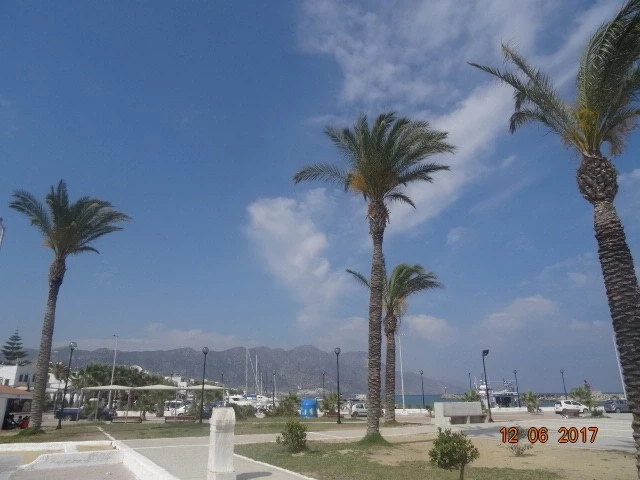 Кардамена