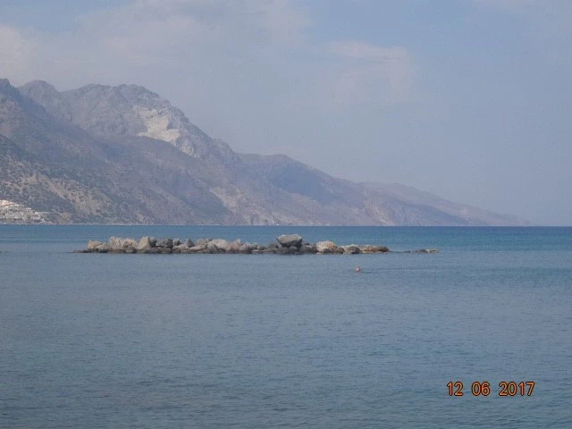 Кардамена