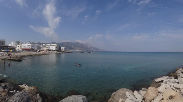 Кардамена