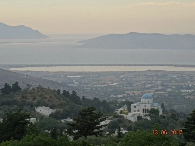 Зия: виды...