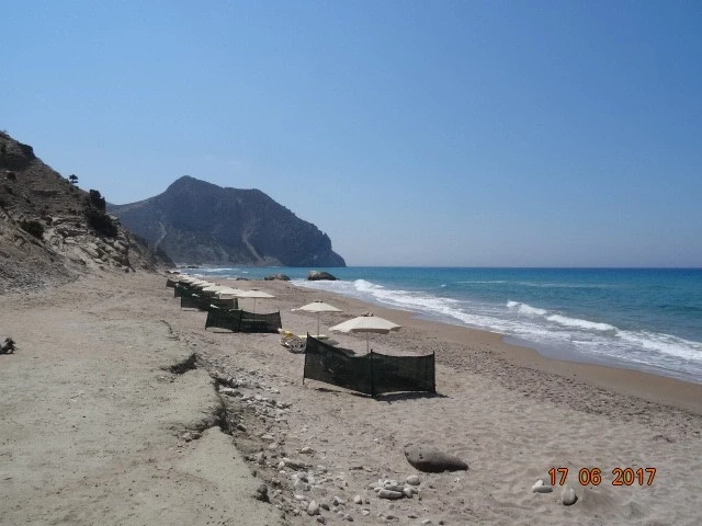 Kavo Paradiso Beach