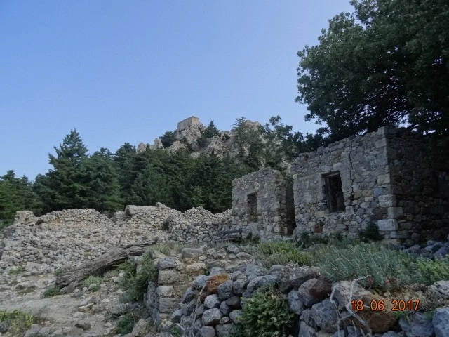 Palio Pyli