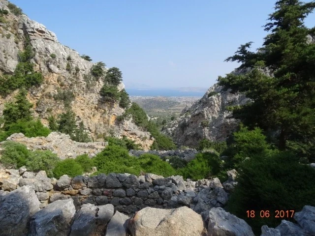 Palio Pyli