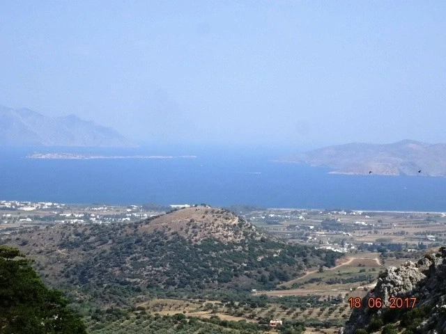 Palio Pyli