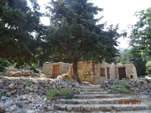 Palio Pyli